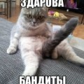 Thmubnail